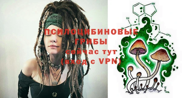герыч Алзамай